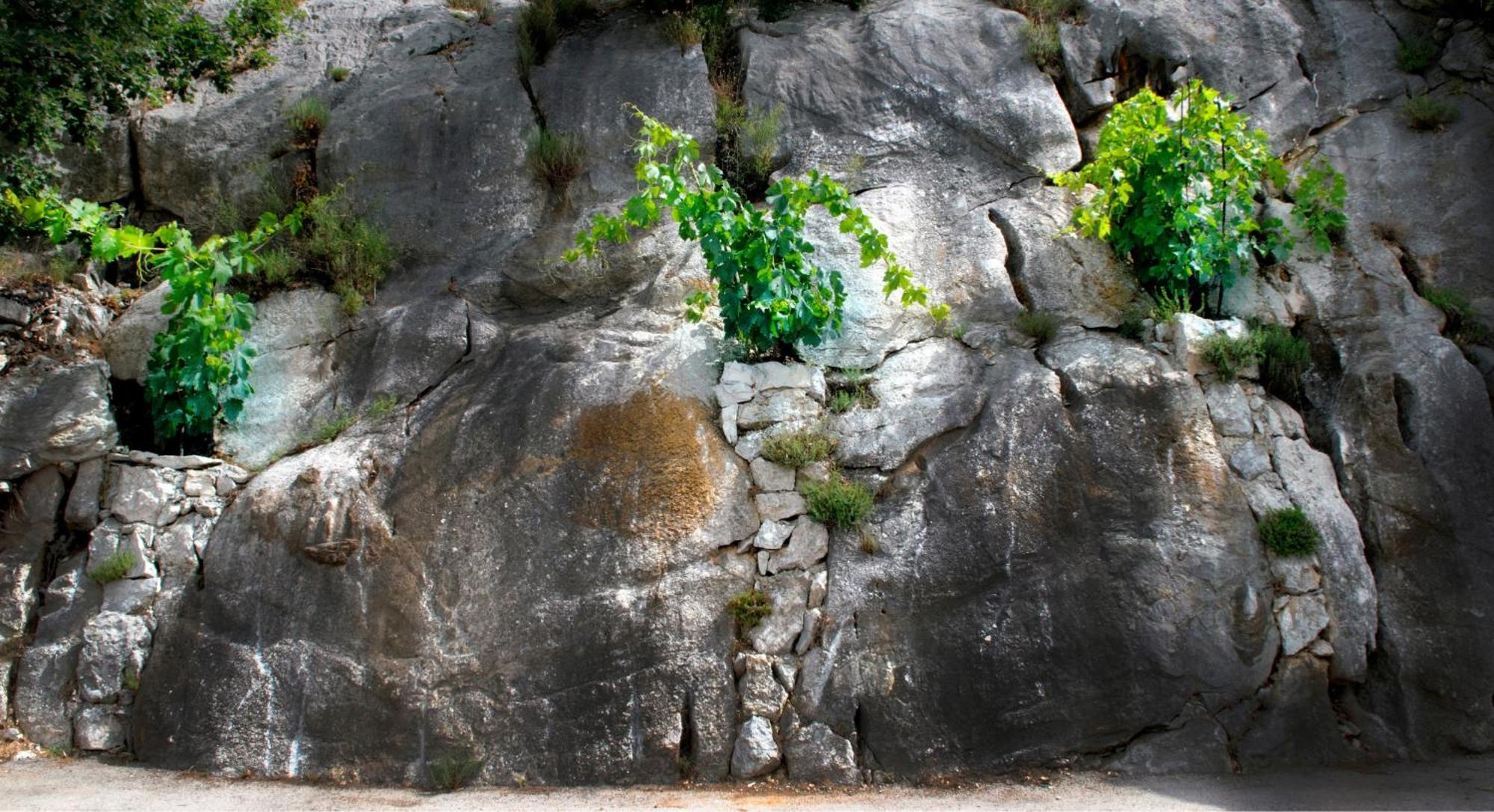 Villa Loza - Resort Moja Stina Seoca 外观 照片